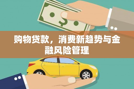 水富购物贷款，消费新趋势与金融风险管理