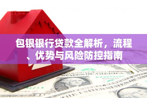 阜平包银银行贷款全解析，流程、优势与风险防控指南