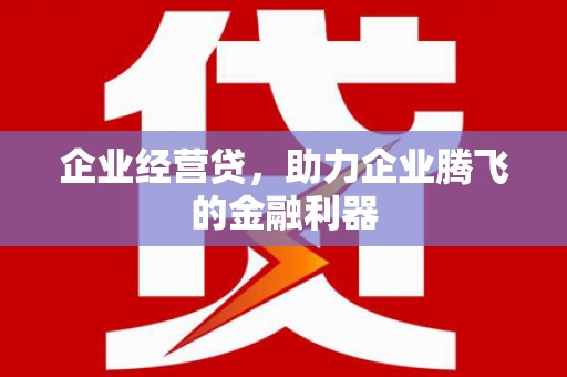 稻城企业经营贷，助力企业腾飞的金融利器