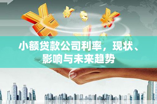 宽甸小额贷款公司利率，现状、影响与未来趋势