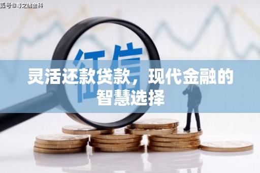 迎泽灵活还款贷款，现代金融的智慧选择