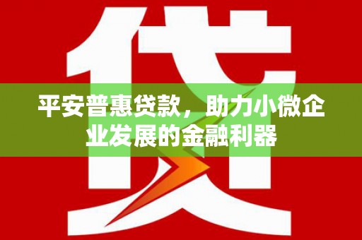 无极平安普惠贷款，助力小微企业发展的金融利器