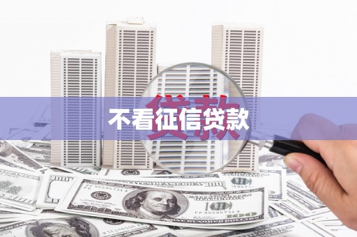南宫不看征信贷款