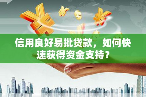民丰信用良好易批贷款，如何快速获得资金支持？