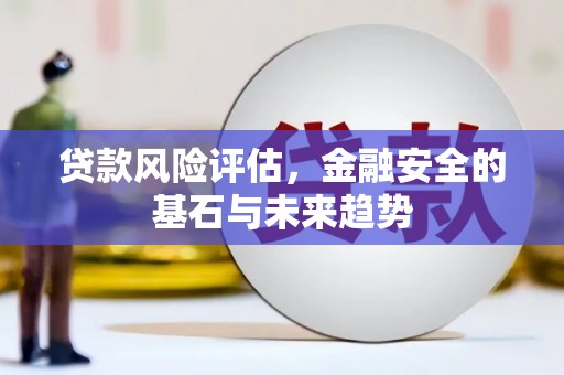 武侯贷款风险评估，金融安全的基石与未来趋势