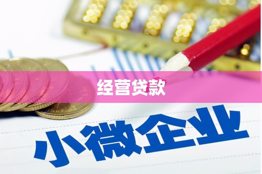新田经营贷款