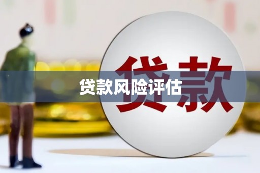 随州贷款风险评估