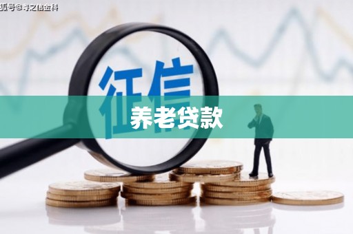 江源养老贷款
