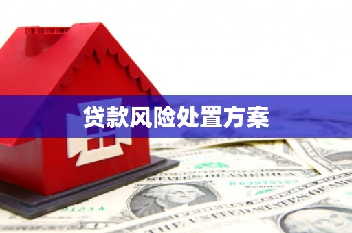 克孜勒苏柯尔克孜贷款风险处置方案