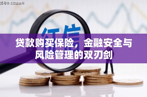 新华贷款购买保险，金融安全与风险管理的双刃剑