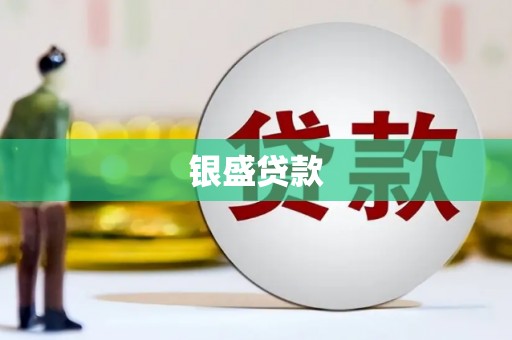 项城银盛贷款