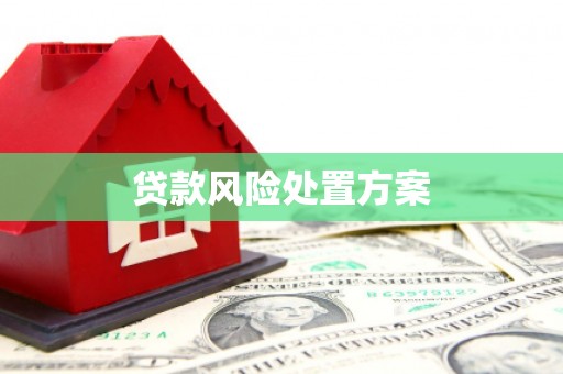 阜康贷款风险处置方案