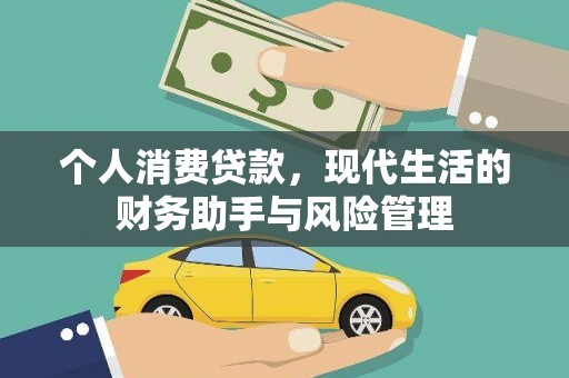 临西个人消费贷款，现代生活的财务助手与风险管理