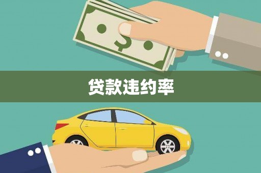 黄骅贷款违约率