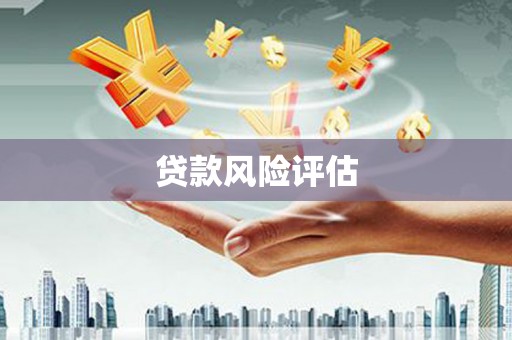 林周贷款风险评估