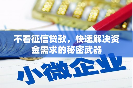东昌府不看征信贷款，快速解决资金需求的秘密武器