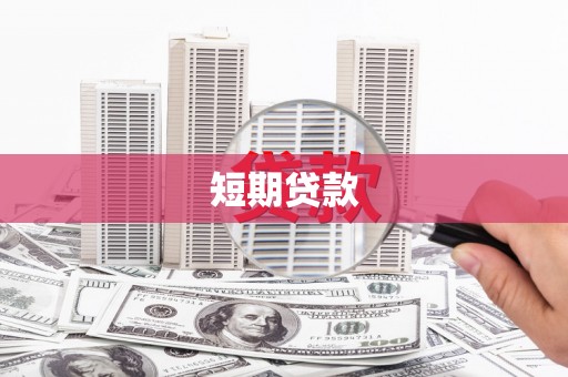山阳短期贷款