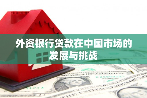 新都外资银行贷款在中国市场的发展与挑战