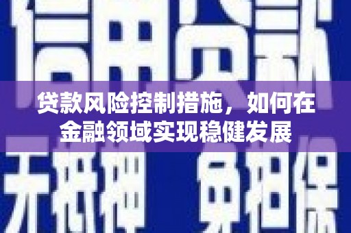 乐都贷款风险控制措施，如何在金融领域实现稳健发展