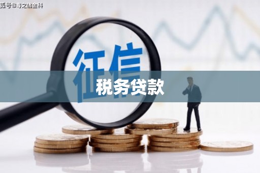 双河税务贷款