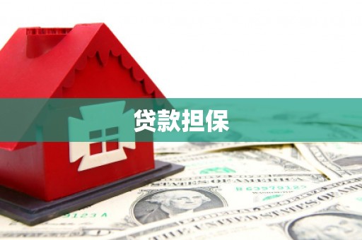 新建贷款担保