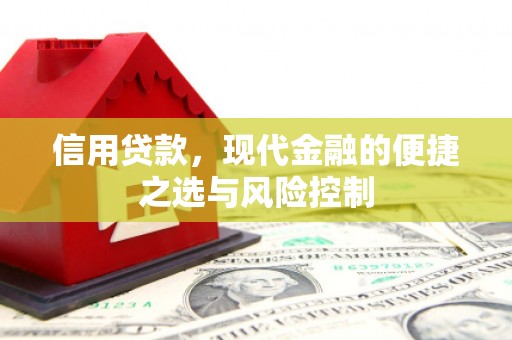 九龙信用贷款，现代金融的便捷之选与风险控制