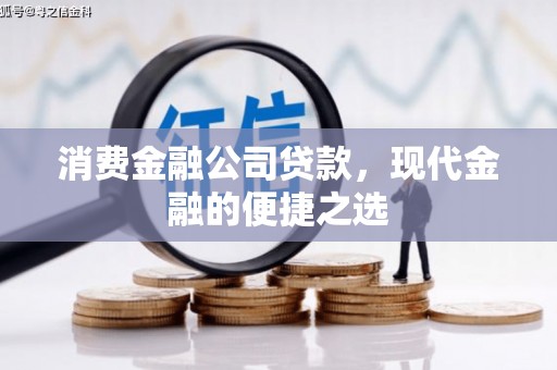 保税区消费金融公司贷款，现代金融的便捷之选