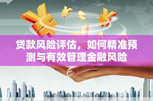 上街贷款风险评估，如何精准预测与有效管理金融风险