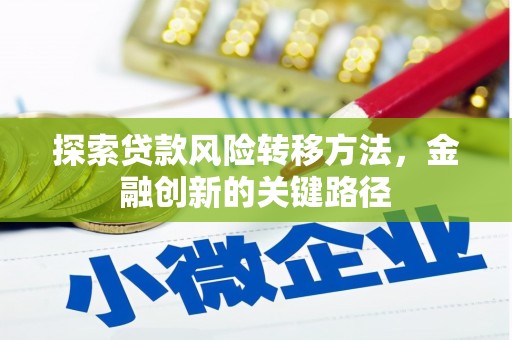 蔡甸探索贷款风险转移方法，金融创新的关键路径