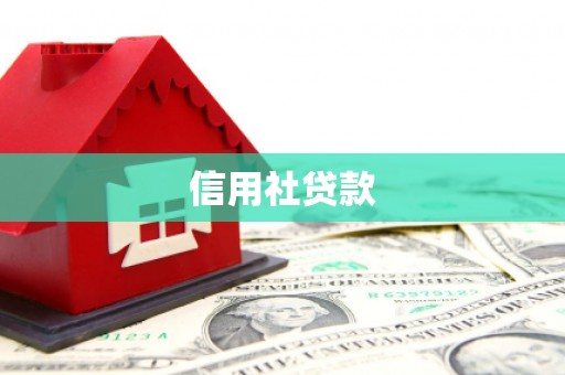 左云信用社贷款