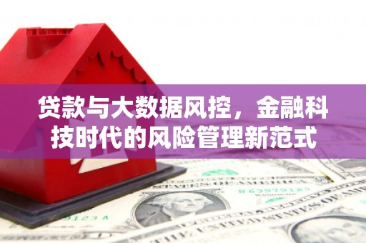 武进贷款与大数据风控，金融科技时代的风险管理新范式