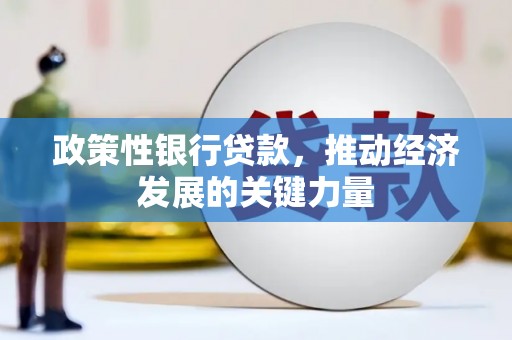 苑里政策性银行贷款，推动经济发展的关键力量