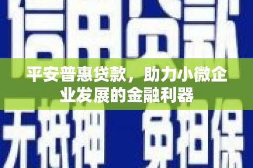 美浓平安普惠贷款，助力小微企业发展的金融利器