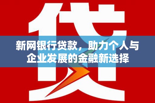 大观新网银行贷款，助力个人与企业发展的金融新选择
