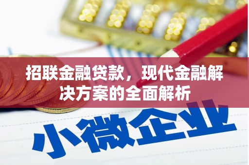 民丰招联金融贷款，现代金融解决方案的全面解析