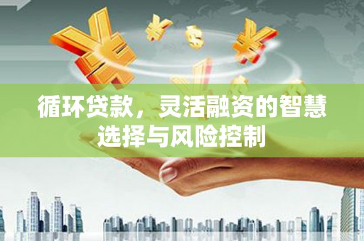 道里循环贷款，灵活融资的智慧选择与风险控制