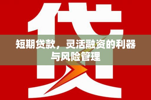 海原短期贷款，灵活融资的利器与风险管理