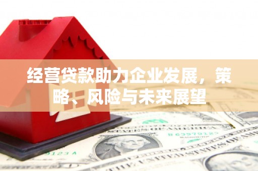 草屯经营贷款助力企业发展，策略、风险与未来展望