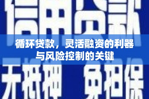郫县循环贷款，灵活融资的利器与风险控制的关键