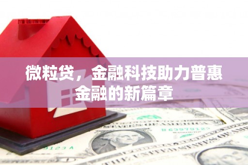 紫阳微粒贷，金融科技助力普惠金融的新篇章