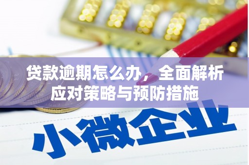兴县贷款逾期怎么办，全面解析应对策略与预防措施
