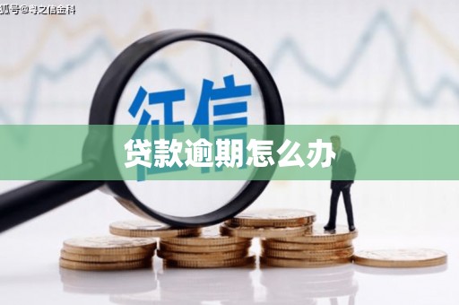 长顺贷款逾期怎么办