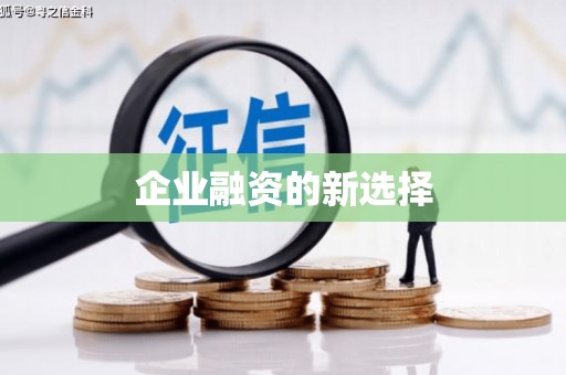 瑞穗企业融资的新选择