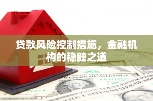 丹寨贷款风险控制措施，金融机构的稳健之道