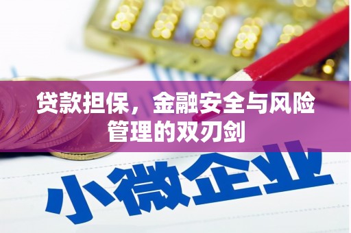 南阳贷款担保，金融安全与风险管理的双刃剑