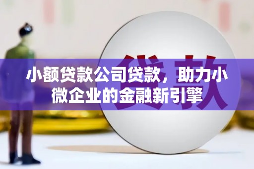 佳县小额贷款公司贷款，助力小微企业的金融新引擎