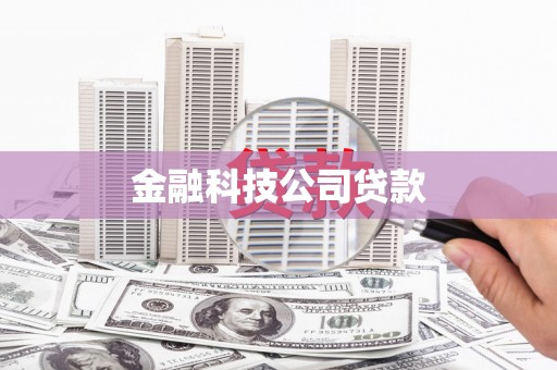 武邑金融科技公司贷款