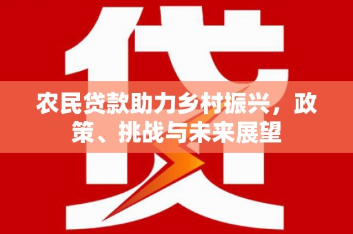 洞口农民贷款助力乡村振兴，政策、挑战与未来展望