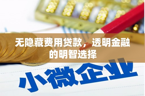 赵县无隐藏费用贷款，透明金融的明智选择