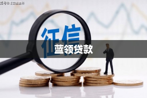 太康蓝领贷款